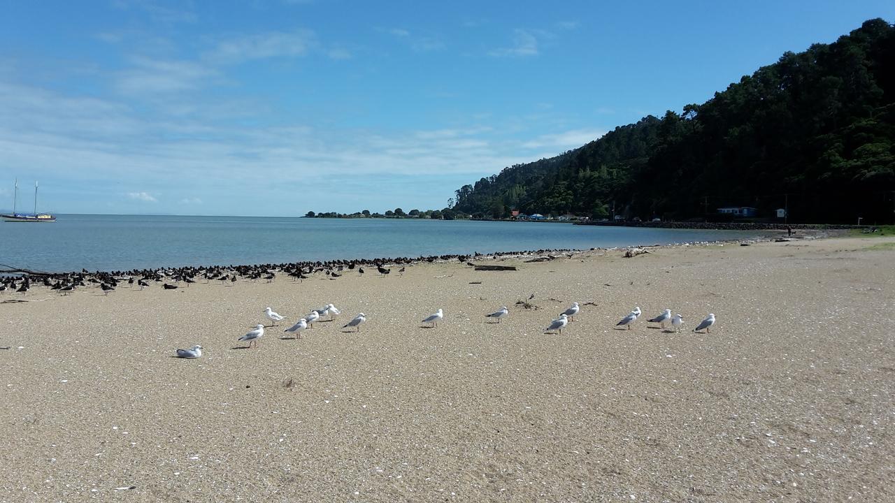Kuranui Cottage Thames Esterno foto